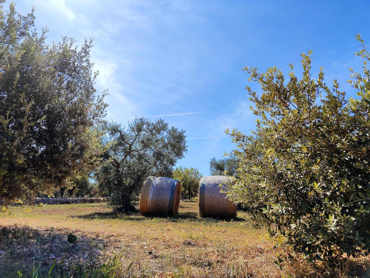 Come Una Volta - Il Trullo Alberobello Buitenkant foto